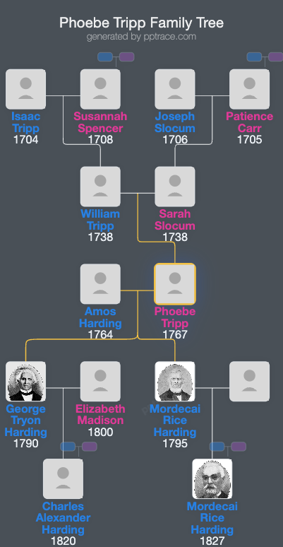 Phoebe Tripp family tree overview