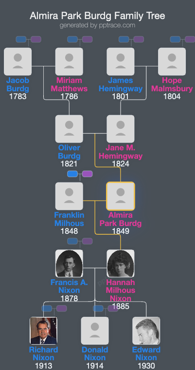 Almira Park Burdg family tree overview