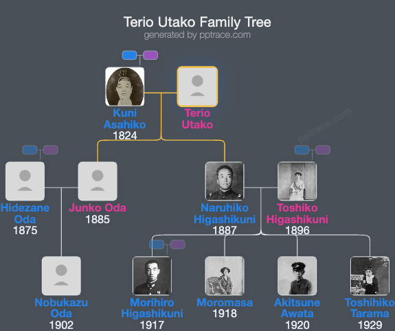 Terio Utako family tree overview