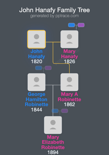 John Hanafy family tree overview