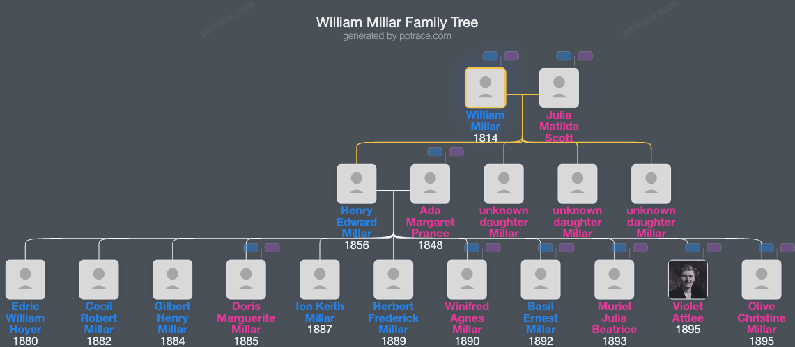 William Millar family tree overview
