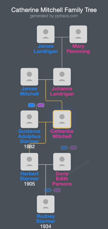 Catherine Mitchell family tree overview