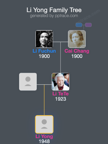 Li Yong family tree overview