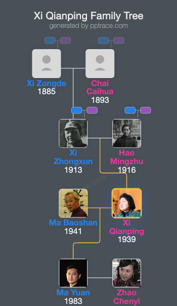 Xi Qianping family tree overview