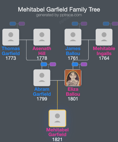 Mehitabel Garfield family tree overview