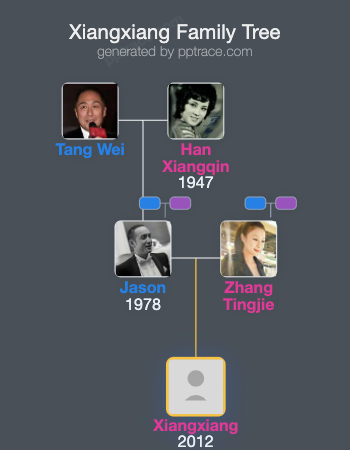 Xiangxiang family tree overview