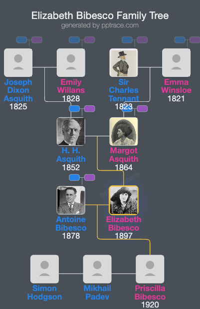 Elizabeth Bibesco family tree overview