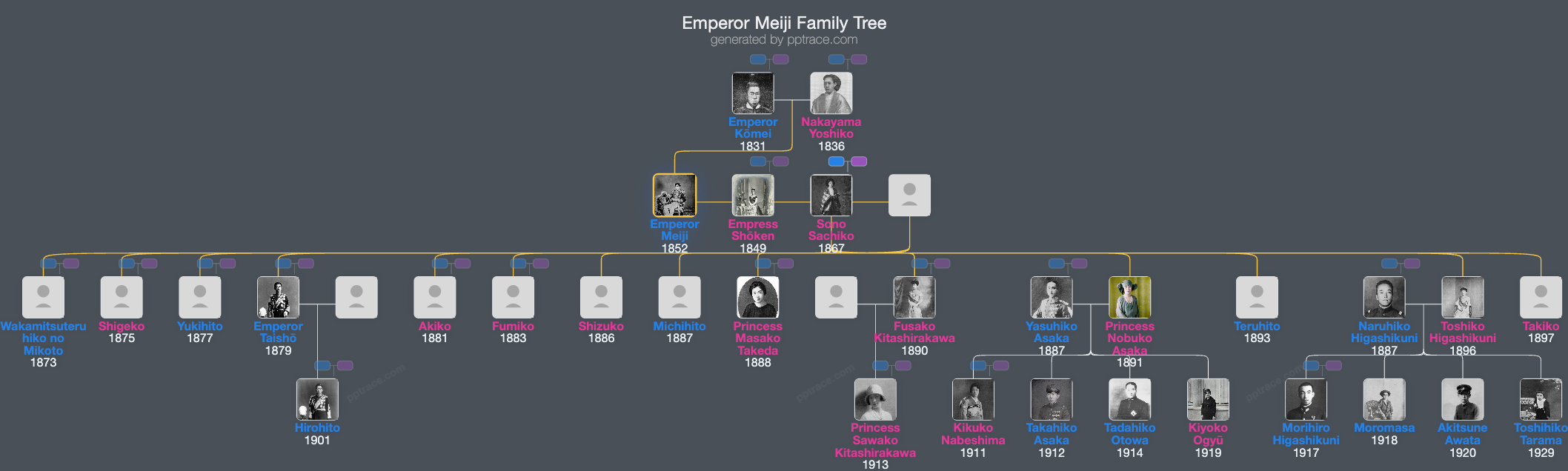 Emperor Meiji family tree overview