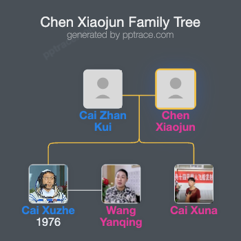 Chen Xiaojun family tree overview