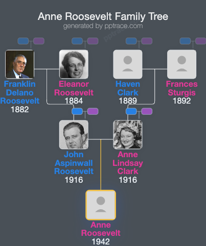 Anne Roosevelt family tree overview