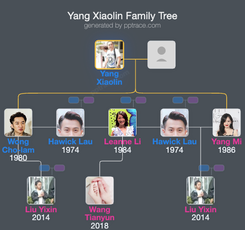 Yang Xiaolin family tree overview