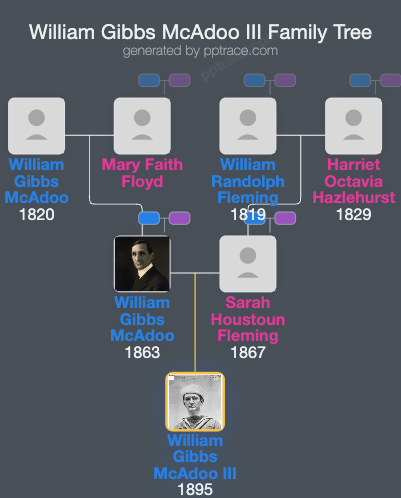 William Gibbs McAdoo III family tree overview