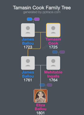 Tamasin Cook family tree overview