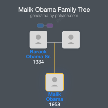 Malik Obama family tree overview