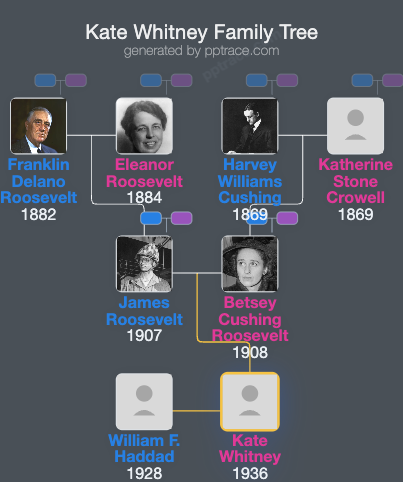 Kate Whitney family tree overview
