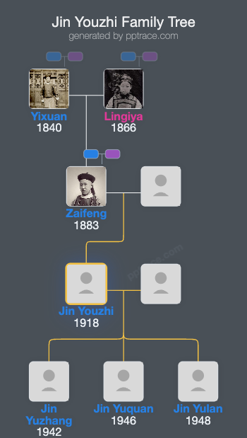Jin Youzhi family tree overview