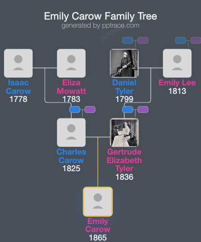 Emily Carow family tree overview