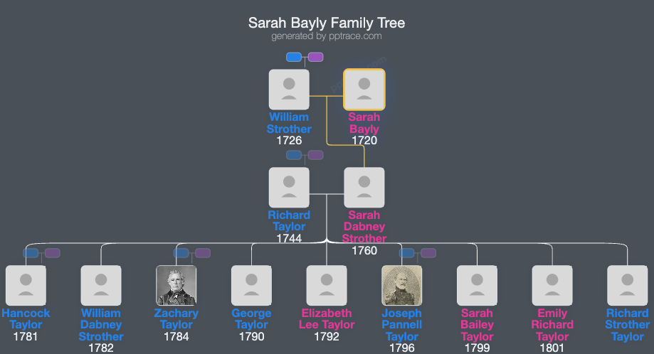 Sarah Bayly family tree overview