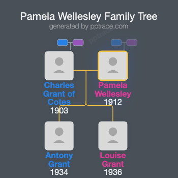 Pamela Wellesley family tree overview