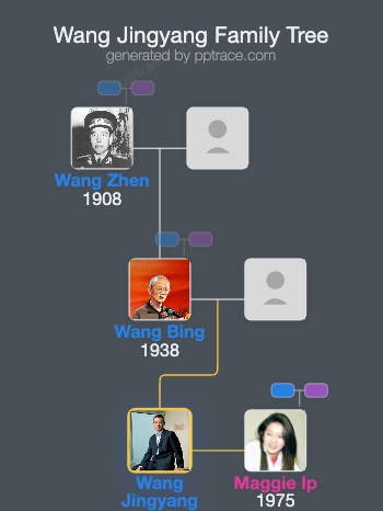 Wang Jingyang family tree overview