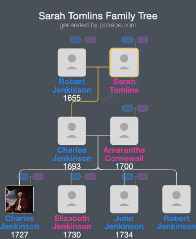 Sarah Tomlins family tree overview