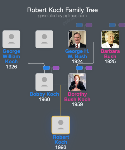 Robert Koch family tree overview