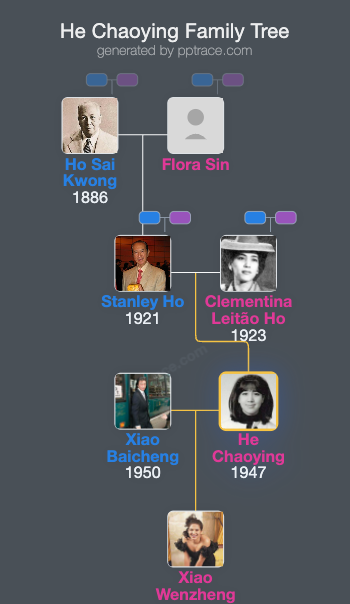 He Chaoying family tree overview