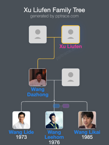 Xu Liufen family tree overview