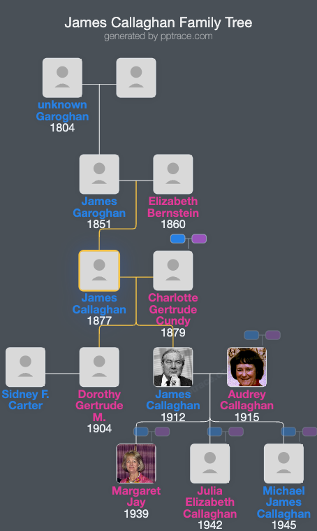 James Callaghan family tree overview