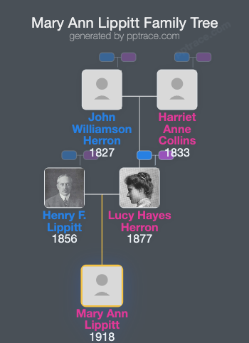 Mary Ann Lippitt family tree overview