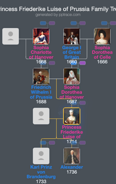 Princess Friederike Luise Of Prussia family tree overview