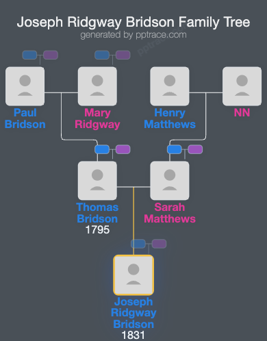 Joseph Ridgway Bridson family tree overview
