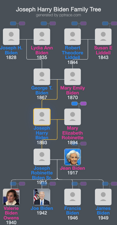 Joseph Harry Biden family tree overview