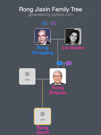 Rong Jiaxin family tree overview