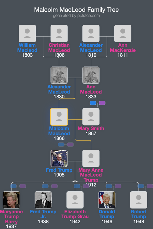 Malcolm MacLeod family tree overview