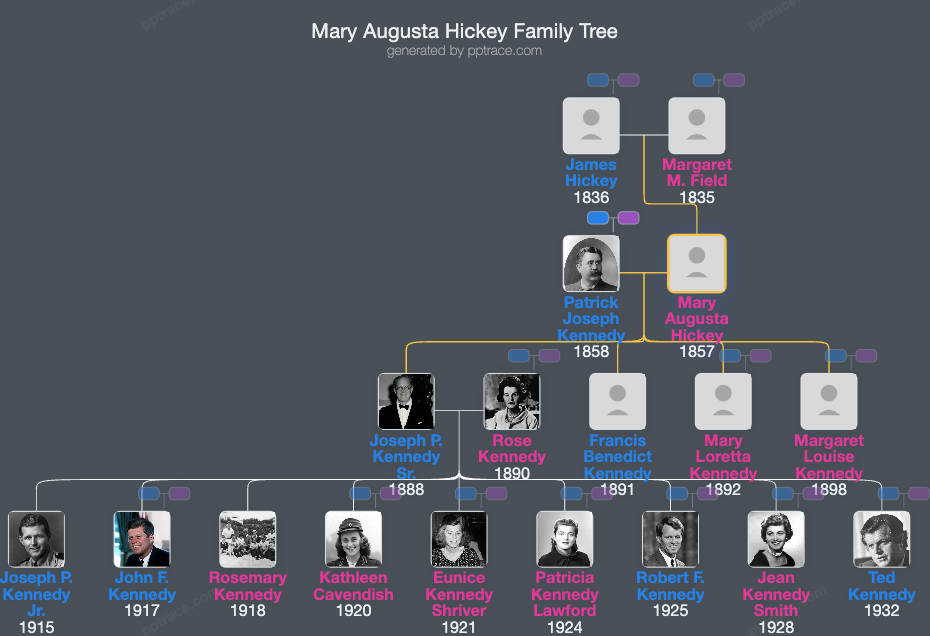 Mary Augusta Hickey family tree overview