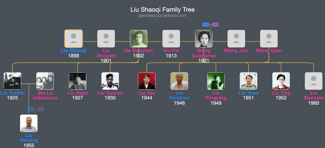 Liu Shaoqi family tree overview