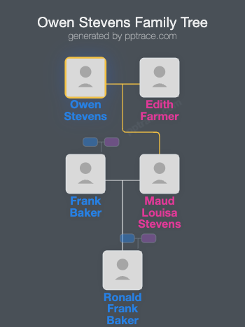 Owen Stevens family tree overview
