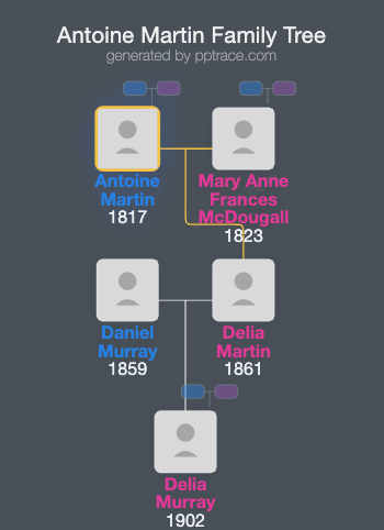 Antoine Martin family tree overview