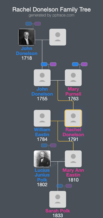 Rachel Donelson family tree overview