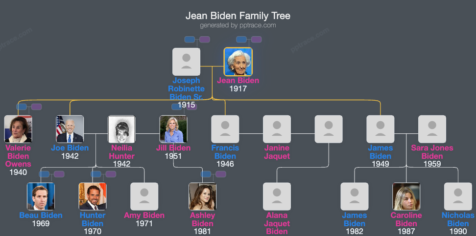 Jean Biden family tree overview