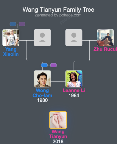 Wang Tianyun family tree overview