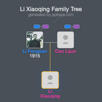 Li Xiaoqing family tree overview