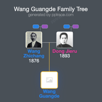 Wang Guangde family tree overview