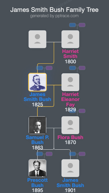 James Smith Bush family tree overview
