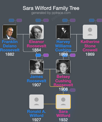 Sara Wilford family tree overview