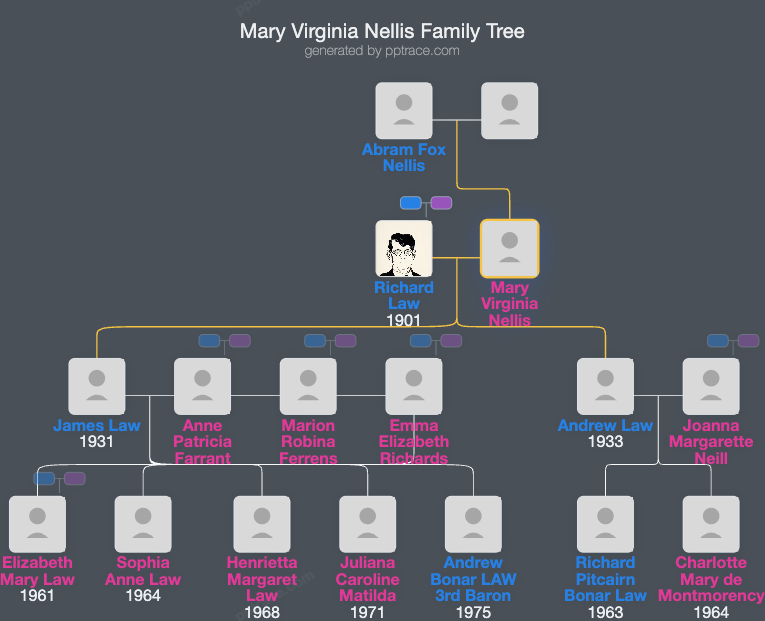 Mary Virginia Nellis family tree overview