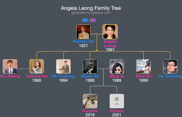 Angela Leong family tree overview