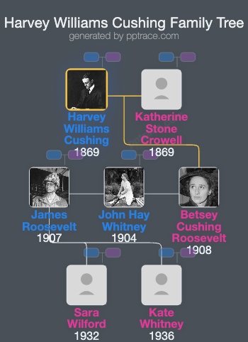 Harvey Williams Cushing family tree overview
