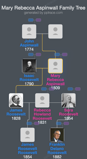 Mary Rebecca Aspinwall family tree overview